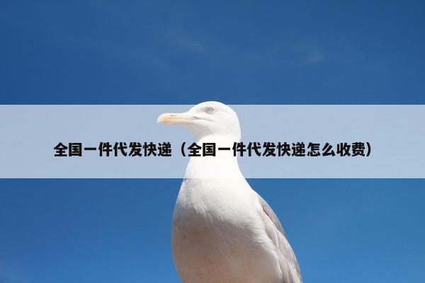全国一件代发快递（全国一件代发快递怎么收费）
