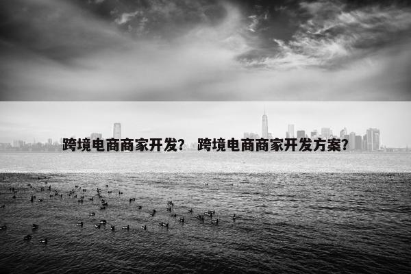 跨境电商商家开发？ 跨境电商商家开发方案？