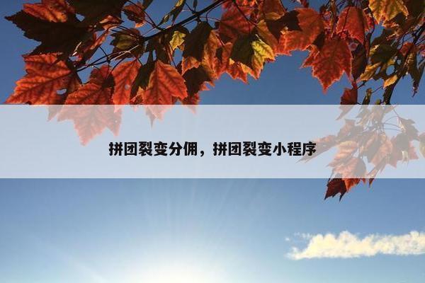 拼团裂变分佣，拼团裂变小程序
