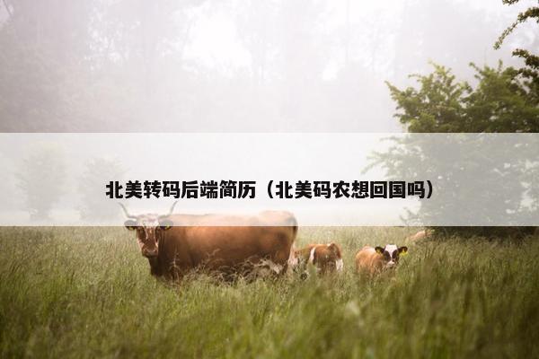 北美转码后端简历（北美码农想回国吗）