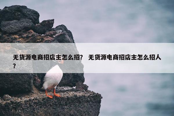 无货源电商招店主怎么招？ 无货源电商招店主怎么招人？