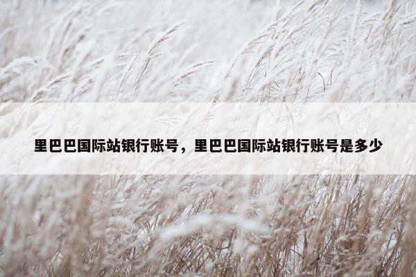 里巴巴国际站银行账号，里巴巴国际站银行账号是多少