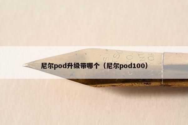 尼尔pod升级带哪个（尼尔pod100）