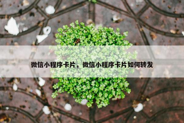 微信小程序卡片，微信小程序卡片如何转发