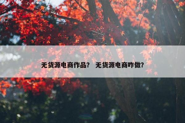 无货源电商作品？ 无货源电商咋做？