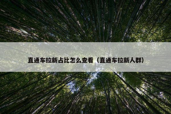 直通车拉新占比怎么查看（直通车拉新人群）