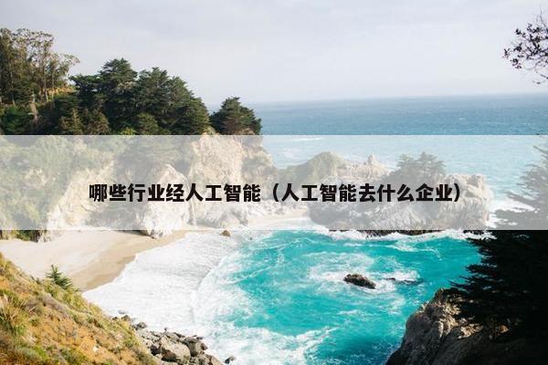 哪些行业经人工智能（人工智能去什么企业）