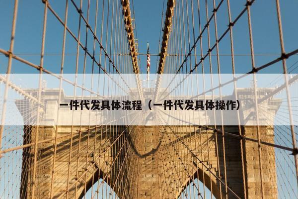一件代发具体流程（一件代发具体操作）