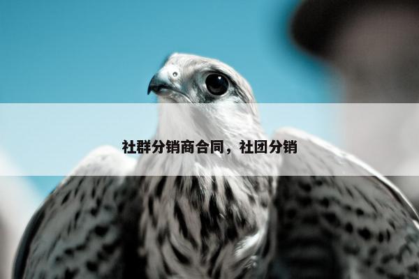 社群分销商合同，社团分销