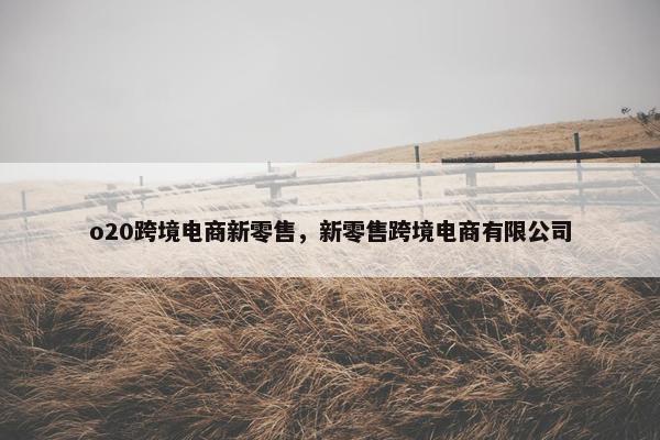 o20跨境电商新零售，新零售跨境电商有限公司