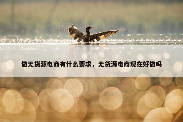 做无货源电商有什么要求，无货源电商现在好做吗