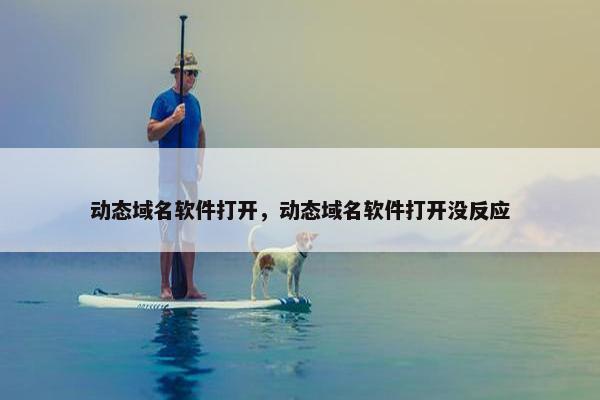 动态域名软件打开，动态域名软件打开没反应