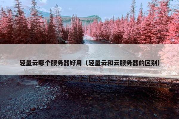 轻量云哪个服务器好用（轻量云和云服务器的区别）