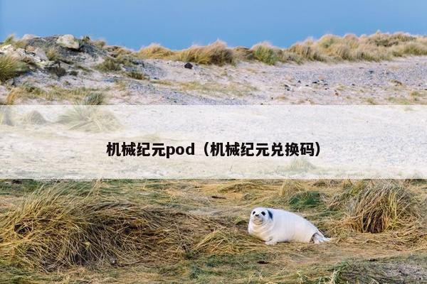 机械纪元pod（机械纪元兑换码）