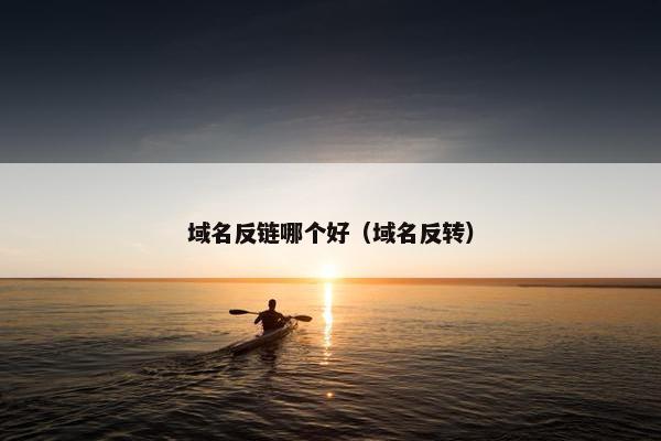 域名反链哪个好（域名反转）