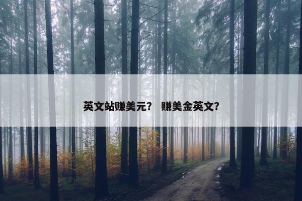 英文站赚美元？ 赚美金英文？