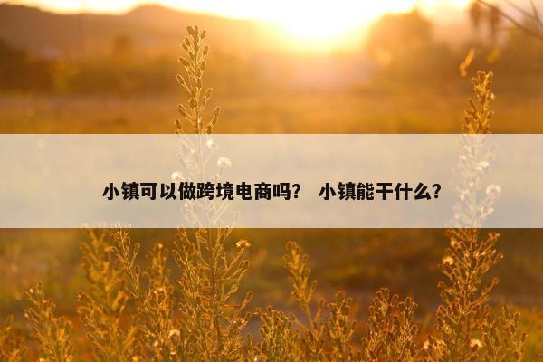 小镇可以做跨境电商吗？ 小镇能干什么？
