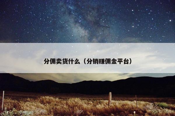分佣卖货什么（分销赚佣金平台）