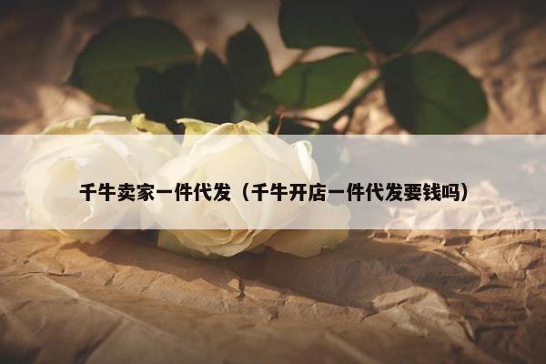 千牛卖家一件代发（千牛开店一件代发要钱吗）