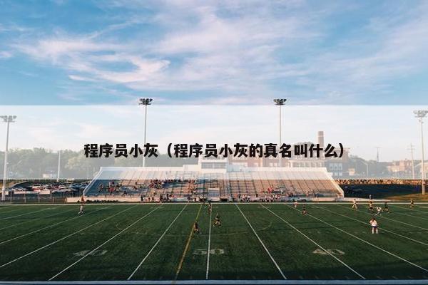 程序员小灰（程序员小灰的真名叫什么）