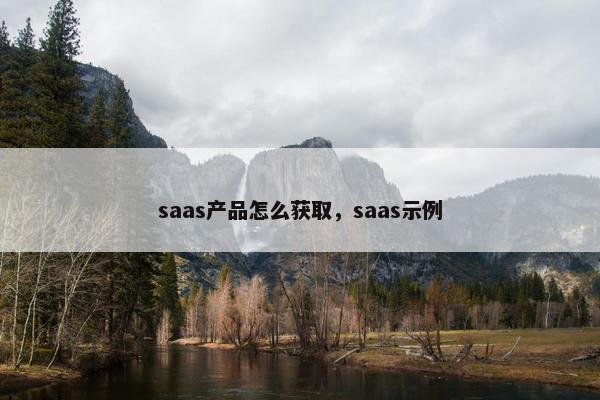 saas产品怎么获取，saas示例