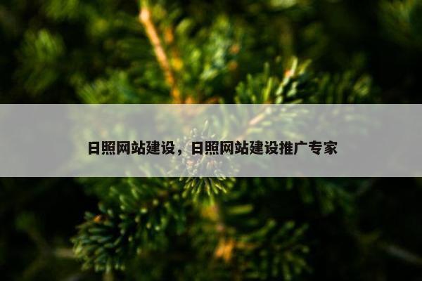 日照网站建设，日照网站建设推广专家