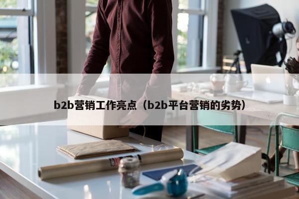 b2b营销工作亮点（b2b平台营销的劣势）