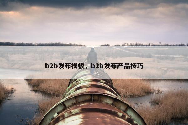 b2b发布模板，b2b发布产品技巧