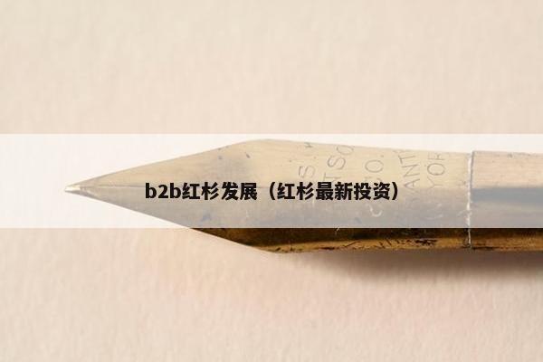b2b红杉发展（红杉最新投资）