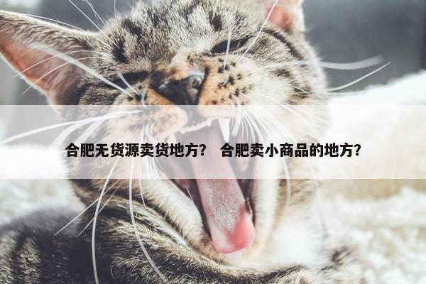 合肥无货源卖货地方？ 合肥卖小商品的地方？