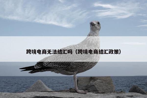 跨境电商无法结汇吗（跨境电商结汇政策）