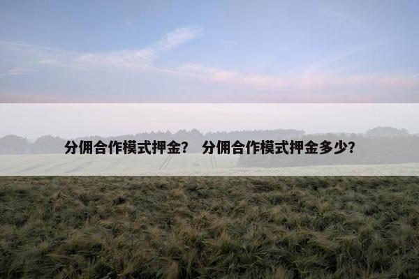 分佣合作模式押金？ 分佣合作模式押金多少？