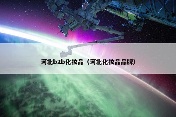 河北b2b化妆品（河北化妆品品牌）