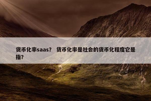 货币化率saas？ 货币化率是社会的货币化程度它是指？