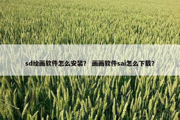 sd绘画软件怎么安装？ 画画软件sai怎么下载？