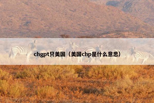 chgpt只美国（美国chp是什么意思）