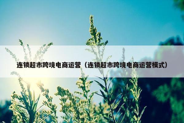 连锁超市跨境电商运营（连锁超市跨境电商运营模式）