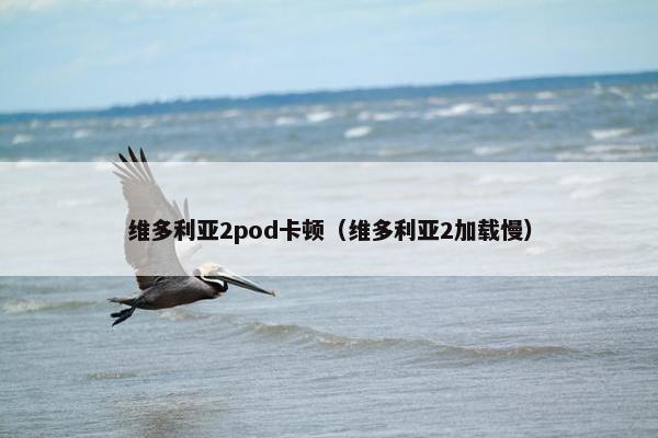 维多利亚2pod卡顿（维多利亚2加载慢）