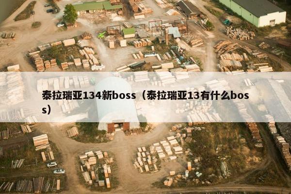 泰拉瑞亚134新boss（泰拉瑞亚13有什么boss）
