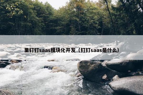 里钉钉saas模块化开发（钉钉saas是什么）