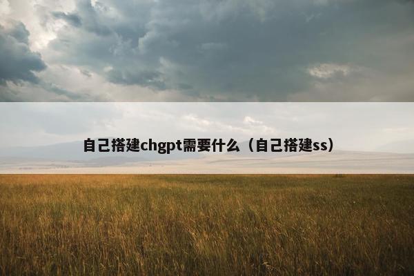 自己搭建chgpt需要什么（自己搭建ss）