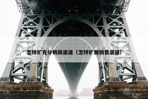 怎样扩充分销商渠道（怎样扩展销售渠道）