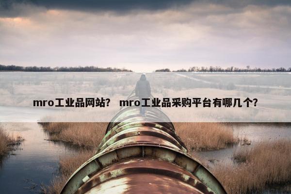 mro工业品网站？ mro工业品采购平台有哪几个？