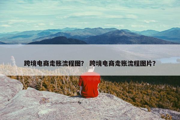 跨境电商走账流程图？ 跨境电商走账流程图片？