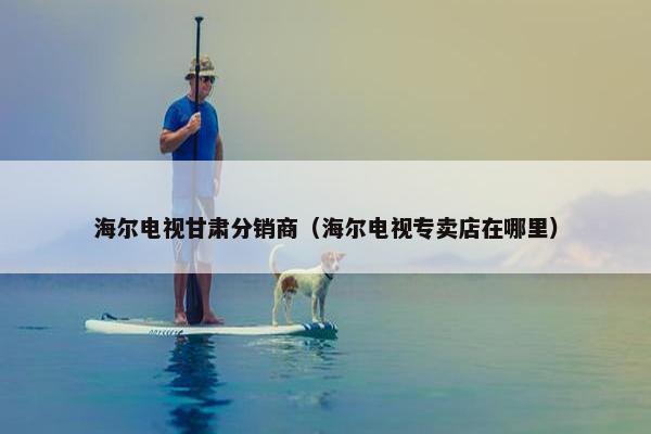 海尔电视甘肃分销商（海尔电视专卖店在哪里）