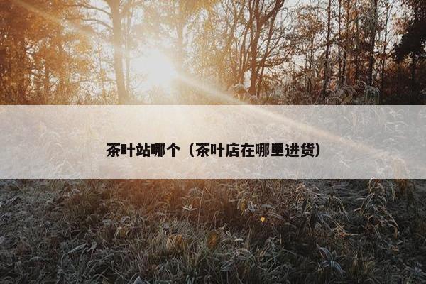茶叶站哪个（茶叶店在哪里进货）