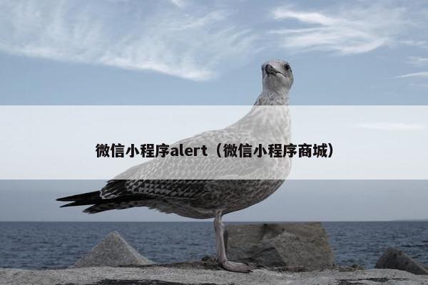 微信小程序alert（微信小程序商城）