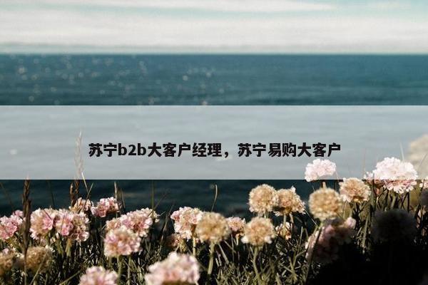 苏宁b2b大客户经理，苏宁易购大客户