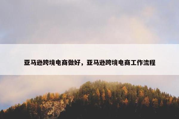 亚马逊跨境电商做好，亚马逊跨境电商工作流程