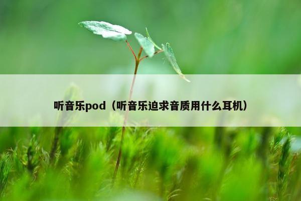 听音乐pod（听音乐迫求音质用什么耳机）